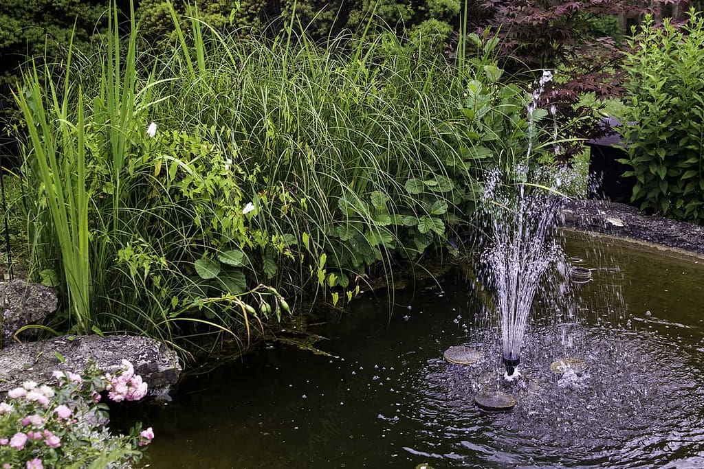 fish pond pumps for garden pond