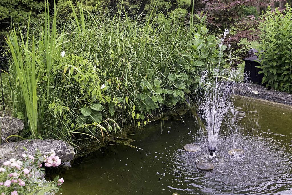 Water fountain in pond