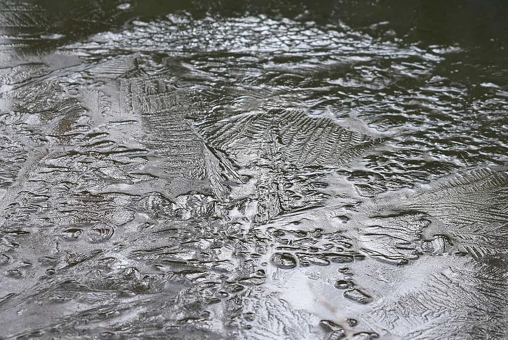 frozen fish ponds