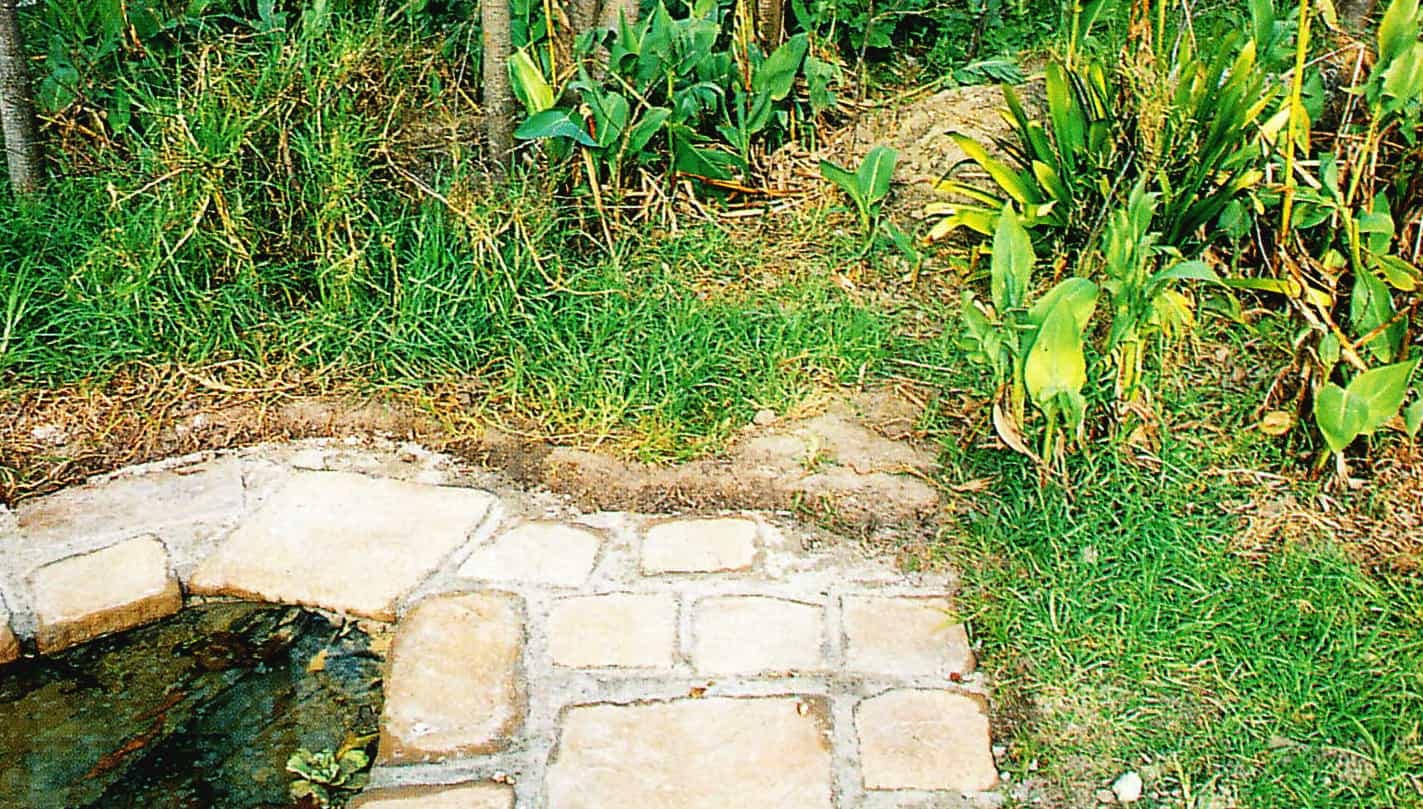 small bog garden before