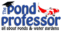 The Pond Professor