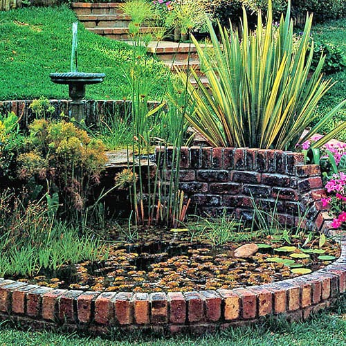 A two-tier pond with water fountain