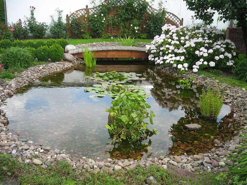 Backyard Pond bridge