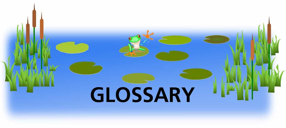 Pond Glossary top picture
