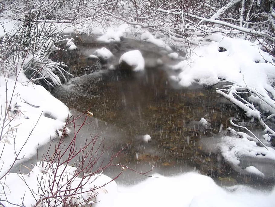 Pond Water Temperature Drop